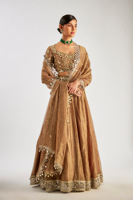 Brown Crushed Tissue Silk Lehenga