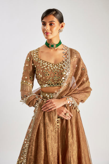 Brown Crushed Tissue Silk Lehenga