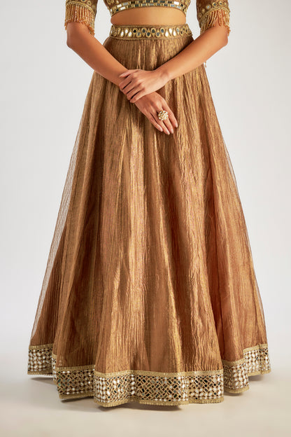 Brown Crushed Tissue Silk Lehenga