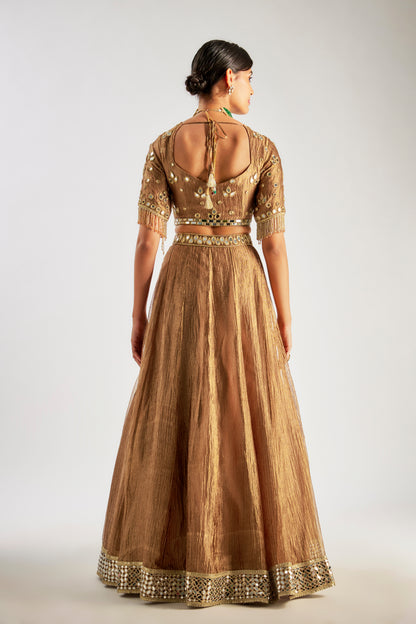 Brown Crushed Tissue Silk Lehenga