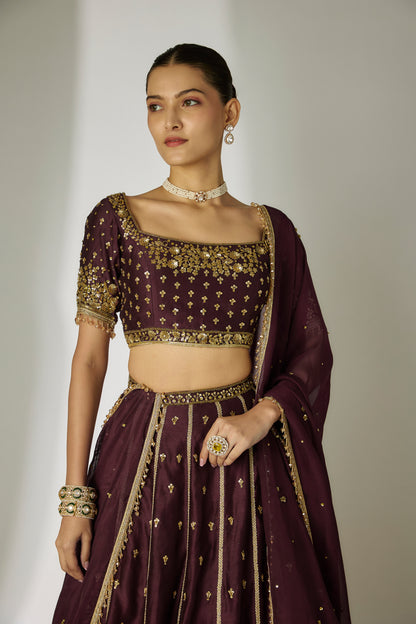 Dhriti: Silk Chanderi Brown Lehenga Set