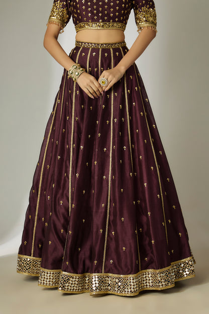 Dhriti: Silk Chanderi Brown Lehenga Set