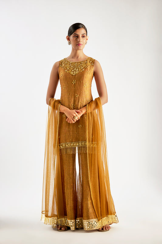 Brown Crushed Tissue Silk Sharara