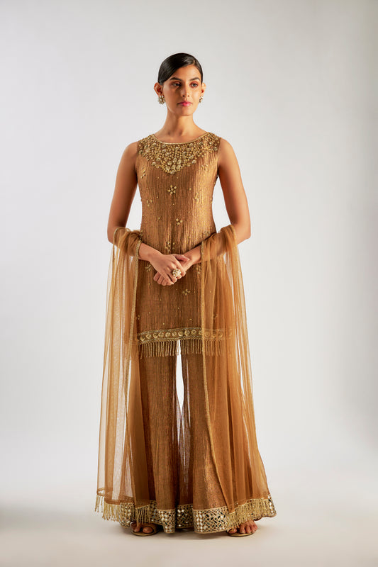 Brown Crushed Tissue Silk Sharara