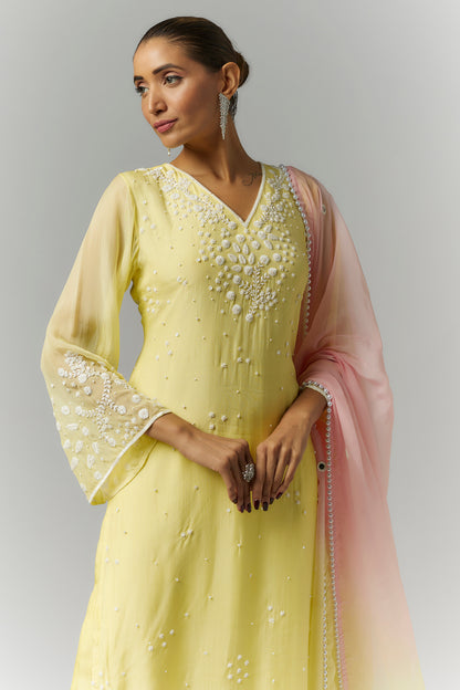 Butter Yellow Organza Kurta Set- Ready to Ship