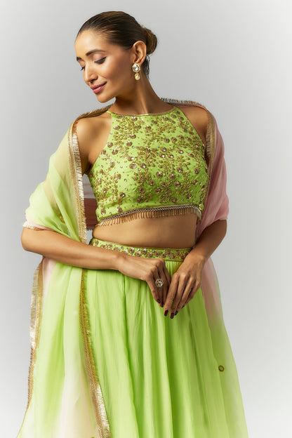 Parrot Green Lehenga Set- Ready to Ship
