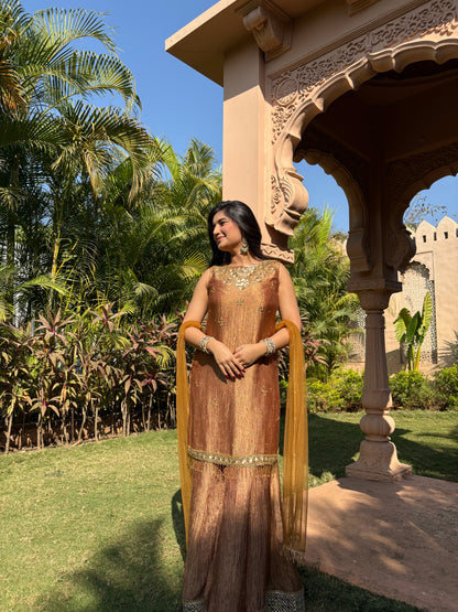 Brown Crushed Tissue Silk Sharara